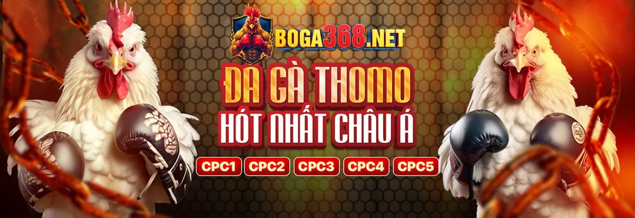 Đá gà trực tuyến Yes8 Đăng Nhập