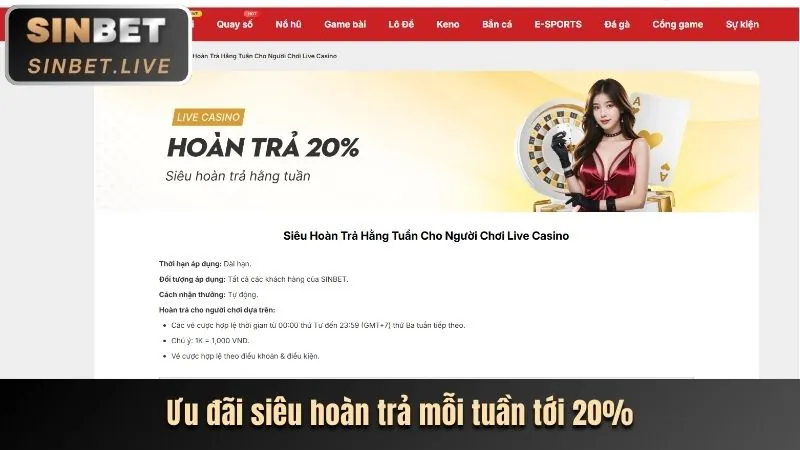 Hoàn Trả Hàng Ngày/Tuần Yes8